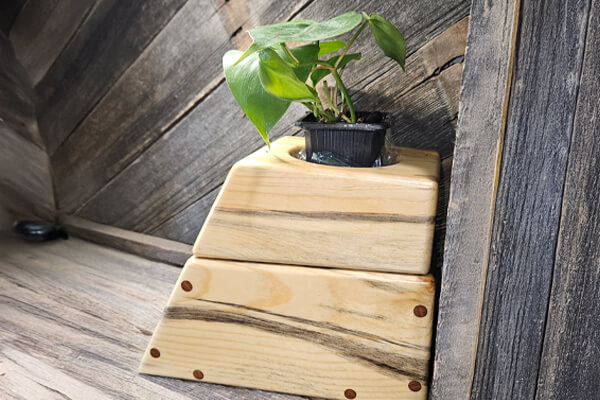 Pine Live Urn Pet Cremation South Dakota